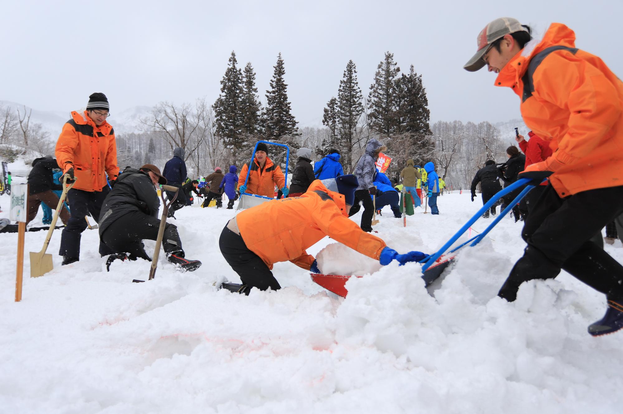 グラウンドに降り積もった雪をスノーダンプとスコップで雪を掘る大勢の人々