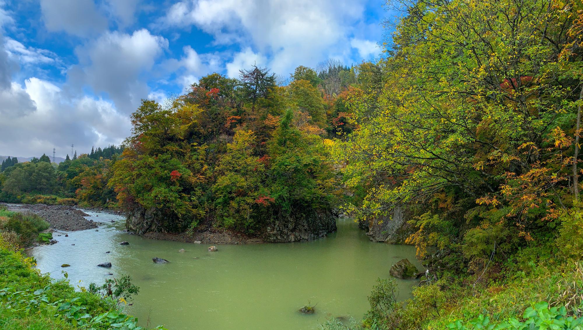 深緑の川に赤や黄色などの紅葉の木々の写真