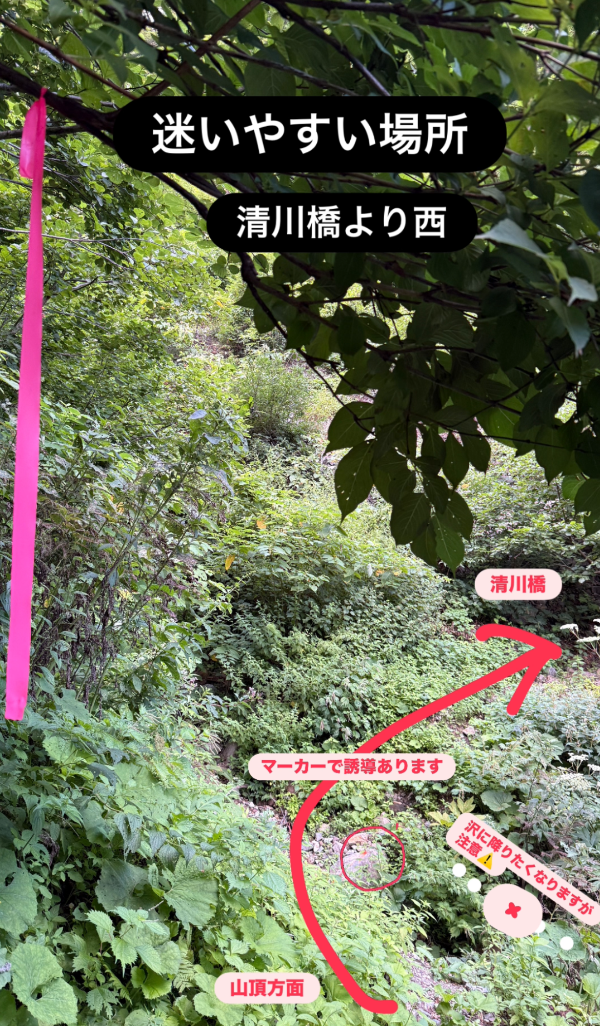 清川橋より西側200m付近