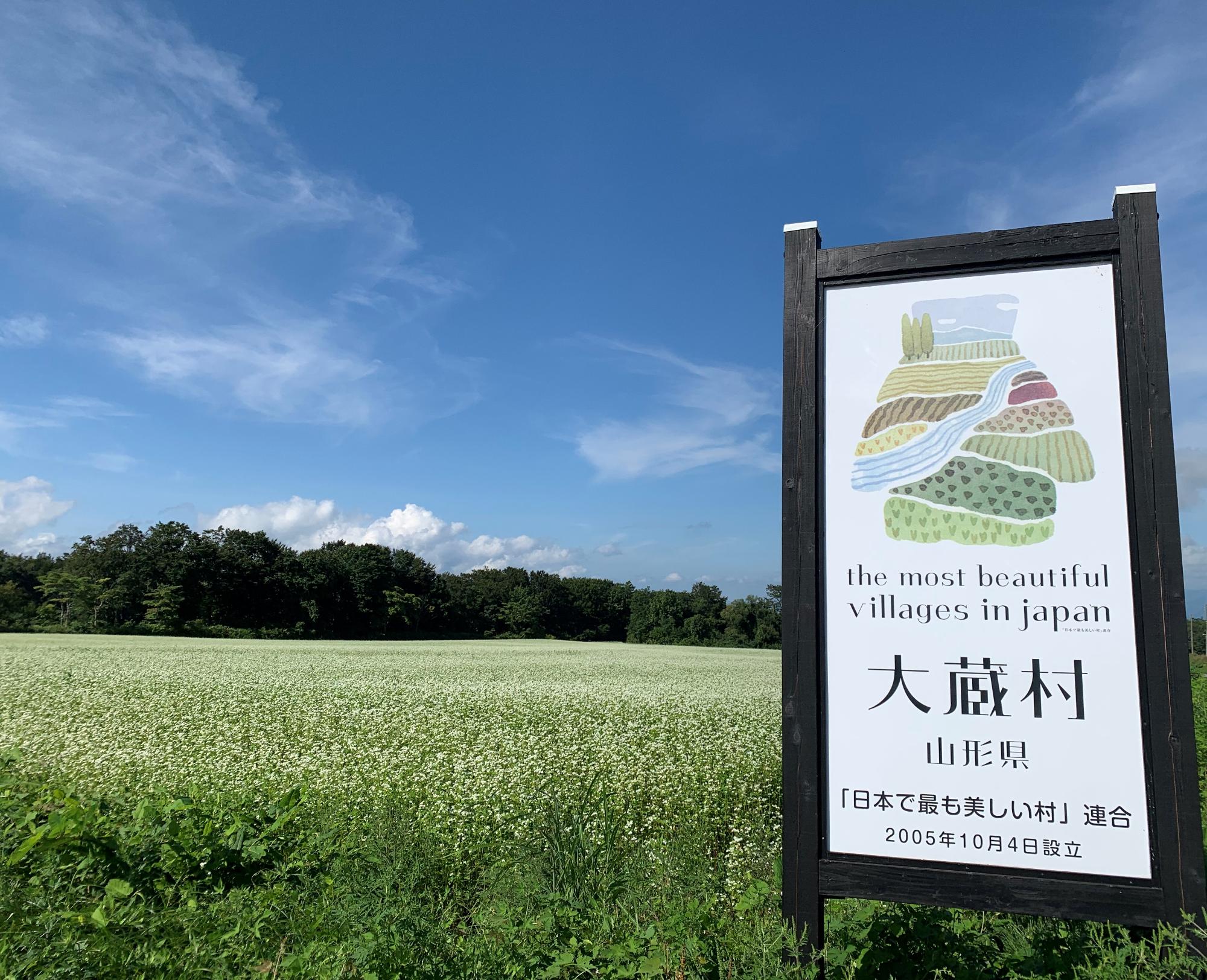 湯の台高原そば畑